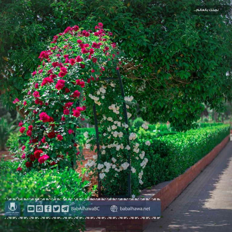 babalhawa Garden syria