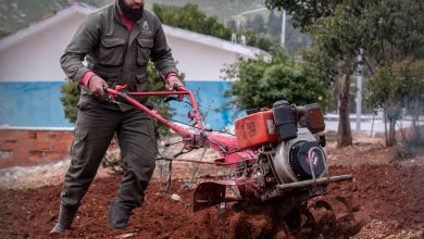عامل ورشة الزراعة يقوم بعمله اليومي في حديقة معبر باب الهوى - سوريا
