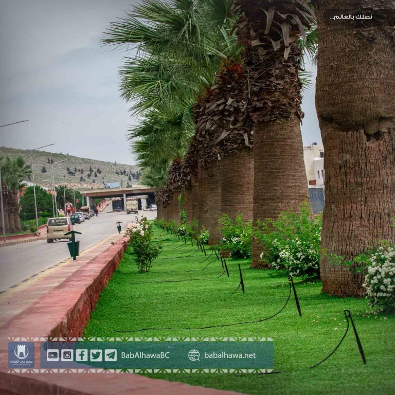 حديقة معبر باب الهوى - سوريا