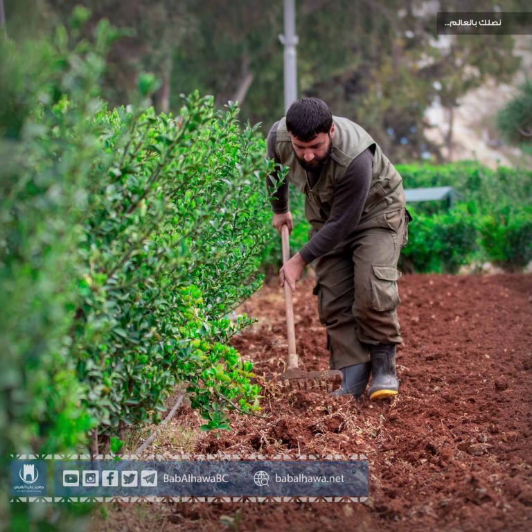 عامل في ورشة الزراعة بمعبر باب الهوى - سوريا